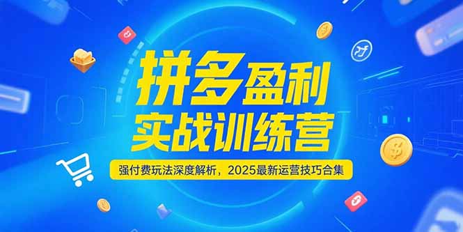 （15183期）拼多多盈利实战训练营，强付费玩法深度解析，2025运营技巧合集-更新6月-吾爱创业网