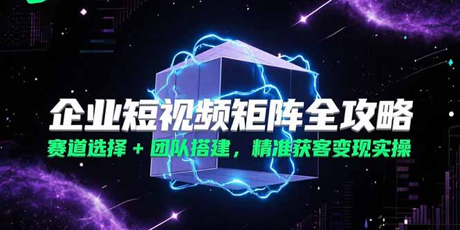 （15242期）企业短视频矩阵全攻略，赛道选择+团队搭建，精准获客变现实操-吾爱创业网