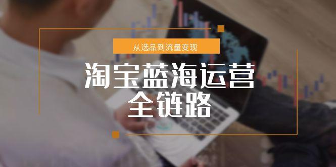 （15160期）淘宝蓝海运营全链路，从选品到流量变现，小类目突围完整方案-吾爱创业网