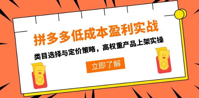 （15143期）拼多多低成本盈利实战，类目选择与定价策略，高权重产品上架实操-吾爱创业网