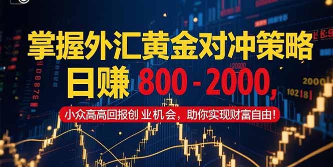（15198期）掌握外汇黄金对冲策略，日赚 800 – 2000，小众高回报创业机会，助你实…-吾爱创业网