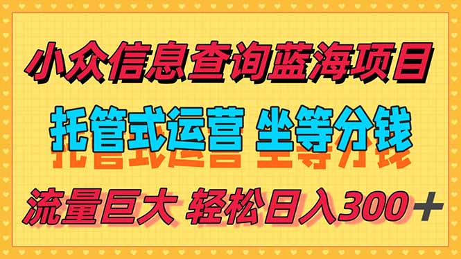 （15216期）稳定日入300＋，小众信息查询蓝海项目，全程懒人式托管，解放你的时间-吾爱创业网