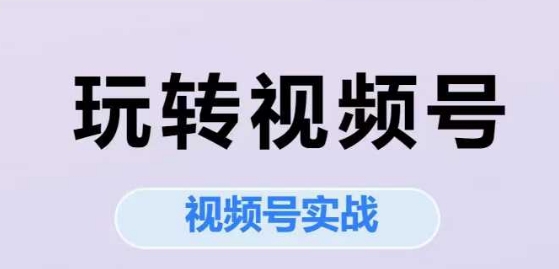 玩转视频号，视频号实战系列课-吾爱创业网
