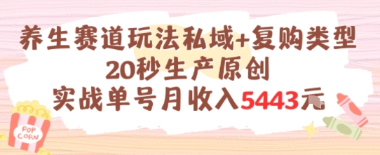 养生赛道玩法私域+复购类型，20秒生产原创实战单号月收入5k+-吾爱创业网