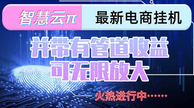 （15314期）智慧云π电脑挂机单机每天收益300—500+ 并带有团队管道收益 可无限放大-吾爱创业网