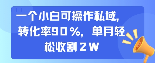 一个小白可操作私域，转化率90%，单月轻松收割2W-吾爱创业网