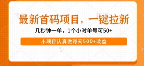 最新首码项目，操作最简单，收益高，一键拉新，1个小时单号可50+，小项目认真做每天5张+收益【揭秘】-吾爱创业网