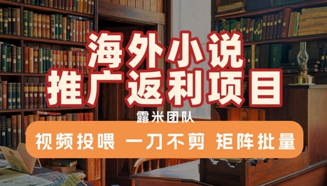 海外小说推广返利项目，视频投喂， 一刀不剪，矩阵批量-吾爱创业网
