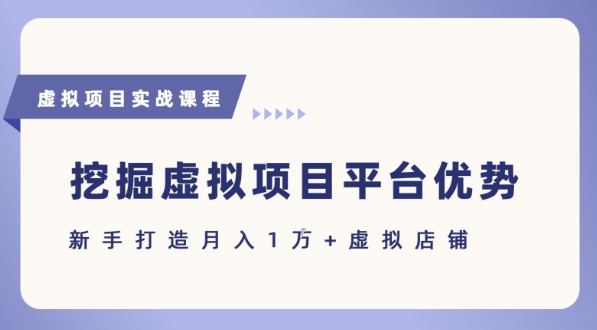 抓住虚拟项目各平台优势，新手轻松月入1W+(给出具体建议)-吾爱创业网