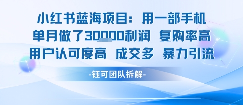 小红书蓝海项目，一部手机单月做了3W利润，小白也能月入过1W用户认可度高成交多-吾爱创业网