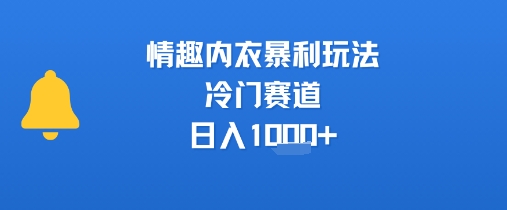 情趣内衣暴利玩法，冷门赛道，日入1k+-吾爱创业网
