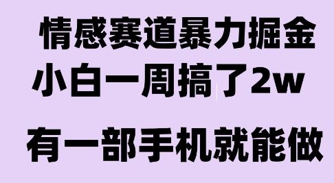 情感暴力掘金项目，新人操作一周挣了2W，长期稳定小白可做【揭秘】-吾爱创业网