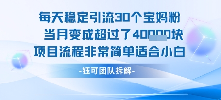 每天稳定引流30个人 当月变成超过了4个W项目流程非常简单适合小白-吾爱创业网
