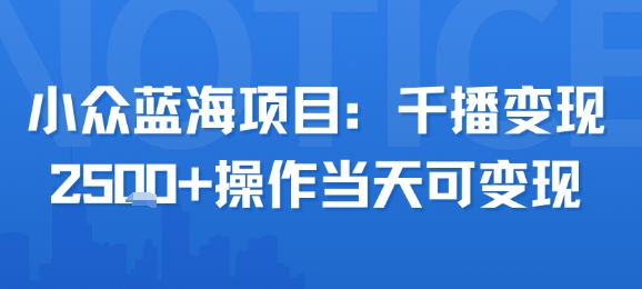 小众蓝海项目，千播变现2.5k+操作当天可变现-吾爱创业网