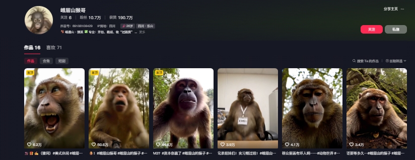 图片[2]-最新爆火的峨眉山猴子短视频制作教程，条条点赞10w+，谁做谁火【教程+提示词】-吾爱创业网