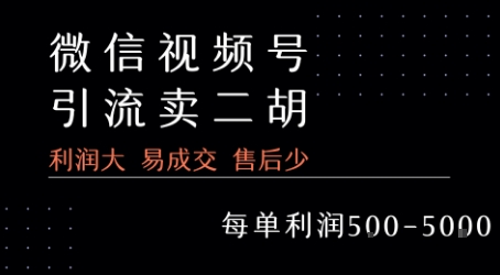 视频号卖二胡教程，利润大 易成交 售后少，一单利润5张+-吾爱创业网
