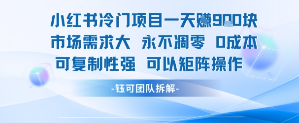 小红书冷门项目一天收益9张，市场需求大，0成本，可复制性强可以矩阵操作-吾爱创业网