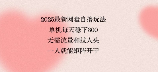 2025最新网盘自撸玩法，单机每天稳下3张，无需流量和拉人头，一个人就可轻松矩阵，全网独一份【揭秘】-吾爱创业网