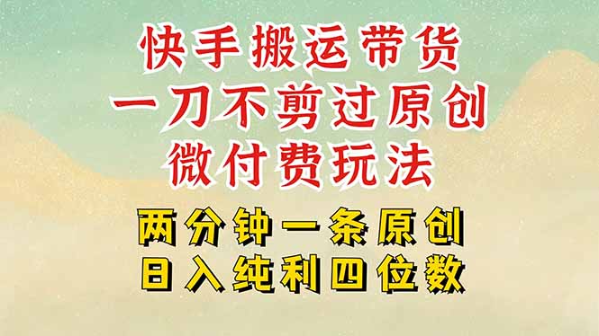 （15577期）快手黑科技搬运带货，一刀不剪过原创，微付费投流玩法，轻松日入四位数…-吾爱创业网