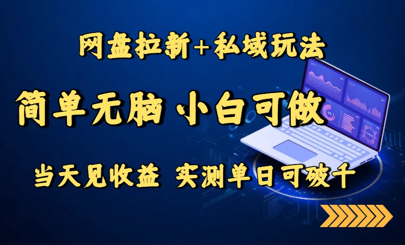 （15744期）网盘拉新+私域玩法，简单无脑，小白可做，当天见收益，实测单日可破千-吾爱创业网