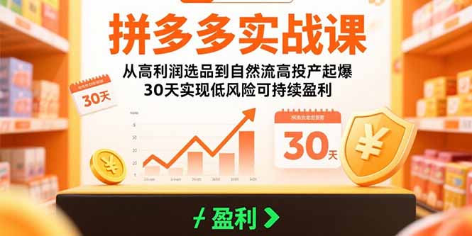 （15586期）拼多多实战课：从高利润选品到自然流高投产起爆 30天实现低风险可持续盈利-吾爱创业网
