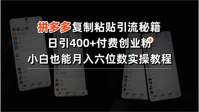 （15613期）拼多多复制粘贴引流秘籍，日引400+付费创业粉，小白也能月入六位数实操…-吾爱创业网