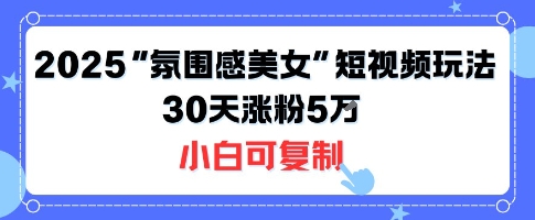 不露脸也能火！2025“氛围感美女”短视频玩法，30天涨粉5W小白可复制-吾爱创业网