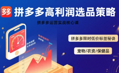 拼多多选品暴利技术实战课，拼多多高利润选品策略，拼多多限时低价标签秘诀-吾爱创业网