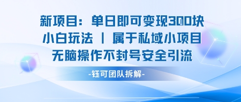 新项目单日即可变现3张的小白玩法无脑操作不封号安全引流-吾爱创业网