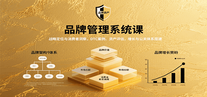 品牌管理系统课：战略定位与消费者洞察，DTC案例、资产评估，增长与公关体系搭建-吾爱创业网