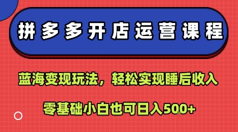 拼多多开店运营课程：蓝海变现玩法，轻松实现睡后收入，零基础小白也可日入5张-吾爱创业网