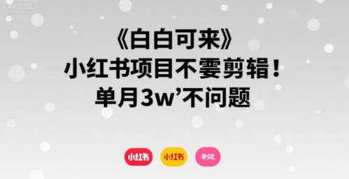 小白可来 小红书项目不需要剪辑 单月3w不是问题-吾爱创业网