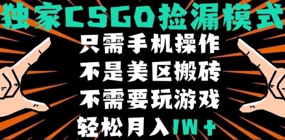 CSGO自动捡漏项目，最新独家玩法，不是美区搬砖，不需要了解和玩游戏，新手小白轻松月入1W+【揭秘】-吾爱创业网