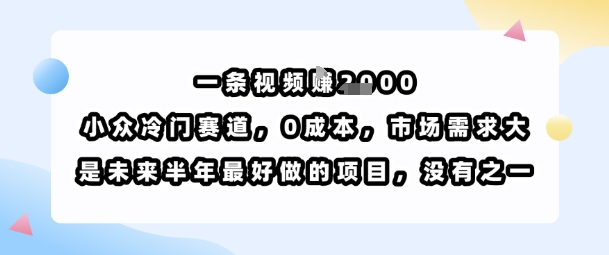 一条视频挣1k，小众冷门赛道，0成本，市场需求大，是未来半年最好做的项目，没有之一-吾爱创业网