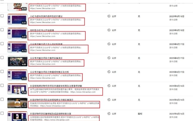 图片[2]-2025油管引流术，分享我是如何通过油管做引流的-吾爱创业网