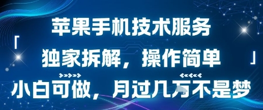 苹果手机技术服务，独家拆解，操作简单，小白可做，月过1W不是梦-吾爱创业网