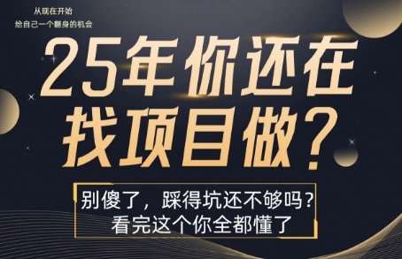 25年，你还在疯狂的找项目吗？别傻了，看完这个你都懂了【揭秘】-吾爱创业网