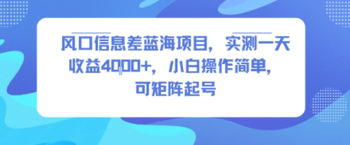 风口信息差蓝海项目，实测一天收益4k+，小白操作简单，可矩阵起号-吾爱创业网