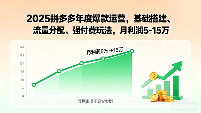 （15973期）2025拼多多年度爆款运营，基础搭建、流量分配、强付费玩法，月利润5-15万-吾爱创业网