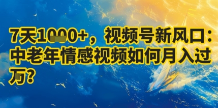 7天收益1k+，视频号新风口：中老年情感视频如何月入过W?-吾爱创业网