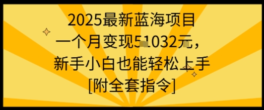 2025最新蓝海项目一个月变现1w+新手小白也能轻松上手【附全套指令】-吾爱创业网