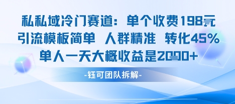 私域冷门赛道单个收费198米引流模板简单人群精准 45%的转化率单人一天大概收益多张-吾爱创业网