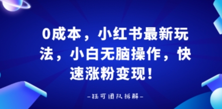 0成本，小红书最新玩法，小白无脑操作，快速涨粉变现-吾爱创业网