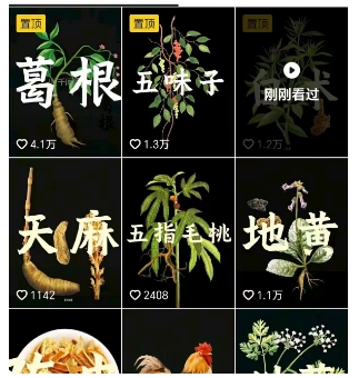 图片[2]-抖音中草药赛道，用AI做中草药故事视频，45条作品涨粉13W，橱窗带货猛猛出单-吾爱创业网