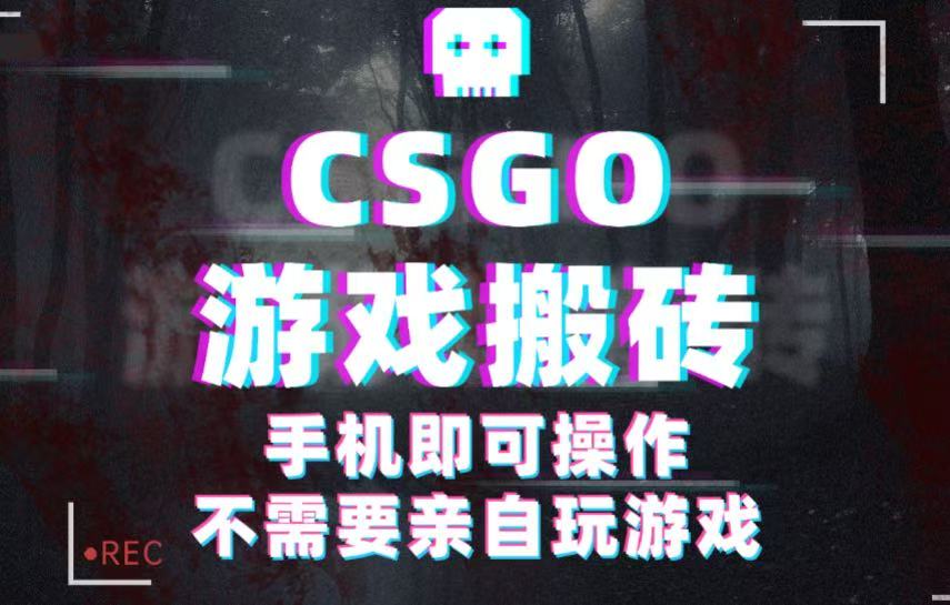 CSGO游戏挂机捡漏，单日扫货500+，年底小高峰上车可吃肉，手机即可操作兼职副业-吾爱创业网