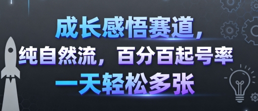 成长感悟赛道，纯自然流，百分百起号率 一天轻松多张-吾爱创业网