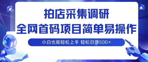 拍店采集调研，全网首码项目，简单易操作， 小白也能轻松上手，多账号操作，轻松日入5张【揭秘】-吾爱创业网