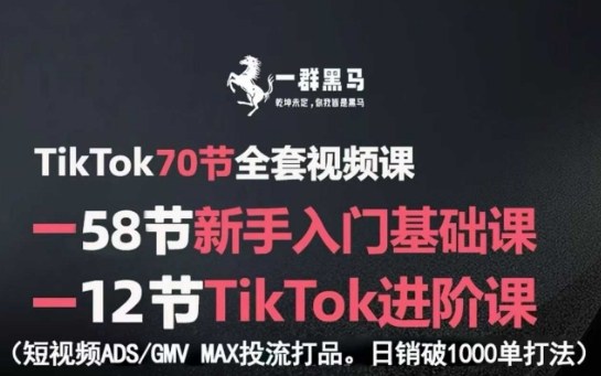 TikTok全套视频课，新手入门+进阶课，短视频ADS-GMV MAX投流打品，日销破1000单打法-吾爱创业网