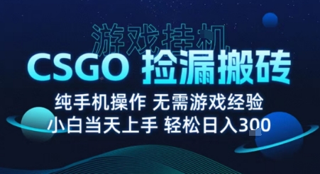 8月最新游戏搬砖，CSGO纯挂G，不需要玩游戏，实现真挂G，月入1W+【揭秘】-吾爱创业网