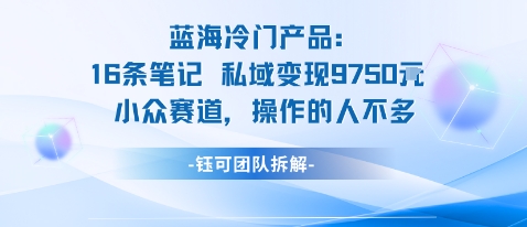 蓝海项目:16条笔记私域变现9750米小众赛道操作的人不多-吾爱创业网